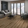 Ламинат Kronostar Biom D50667 Дуб Федель на Otdelka1.ru