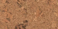 Настенная пробка Коркстайл / Corkstyle Wall design Vico nat на Otdelka1.ru