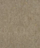 Обои Rasch Curiosity 538342 на Otdelka1.ru