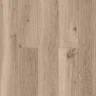 Кварц-виниловый ламинат Alpine Floor Титан 6 Eco 28-7 Пирит на Otdelka1.ru