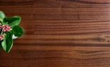 Паркетная доска Паркет прайм / Parquet Prime Сапелли R10 Парисьен 2S на Otdelka1.ru